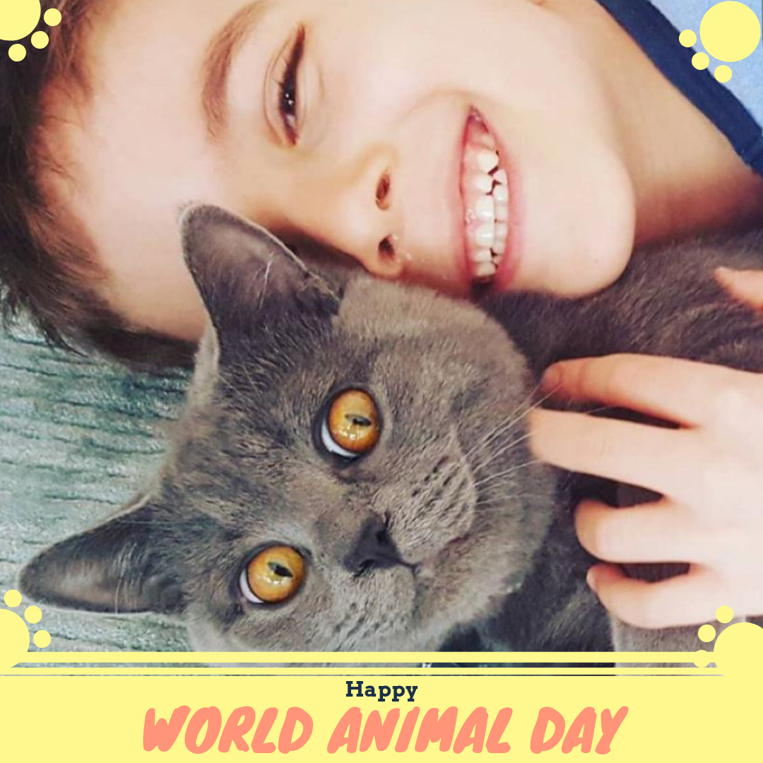 World Animal Day
